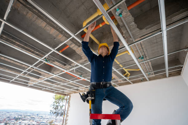 Best Emergency Plumber  in Moon Lake, FL